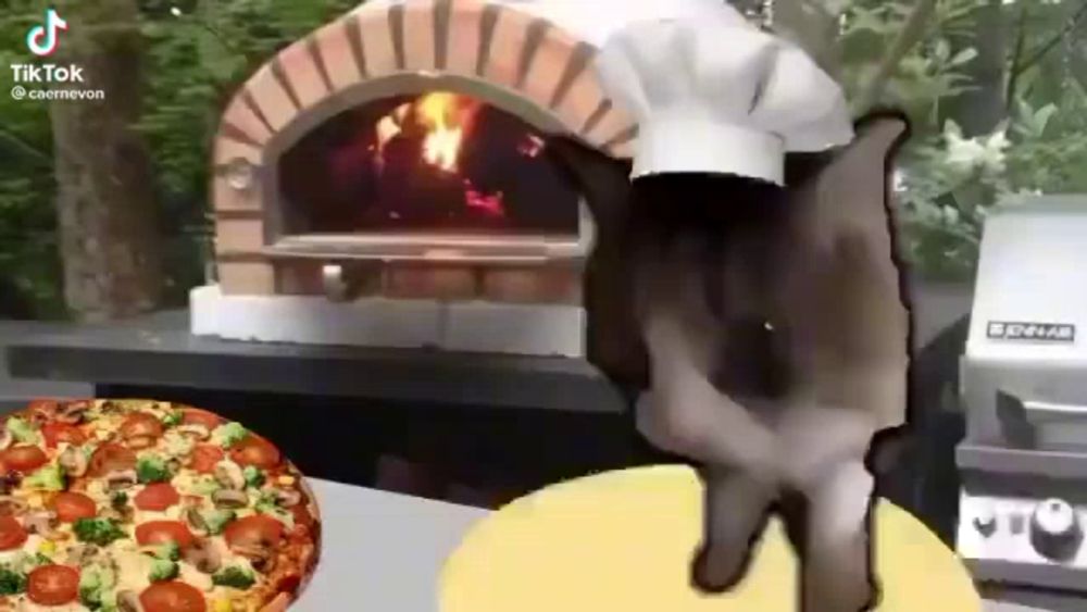 a cat wearing a chef 's hat is standing next to a pizza in front of a pizza oven .