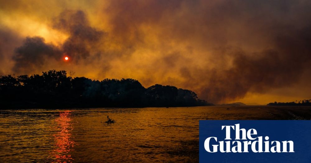 Devastation as world’s biggest wetland burns: ‘those that cannot run don’t stand a chance’