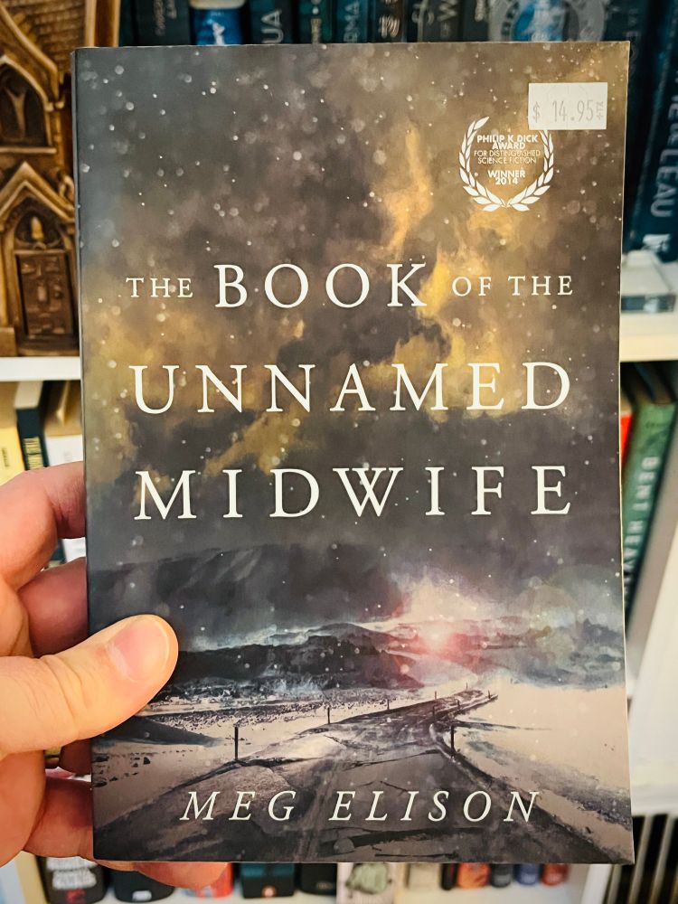 The book of the unnamed midwife cover