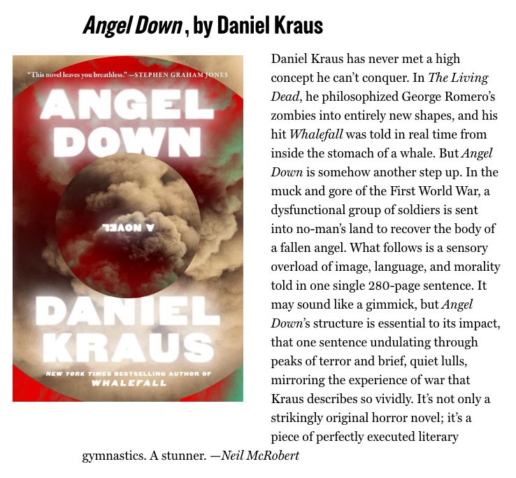 Cover of angel down with a flattering blurb