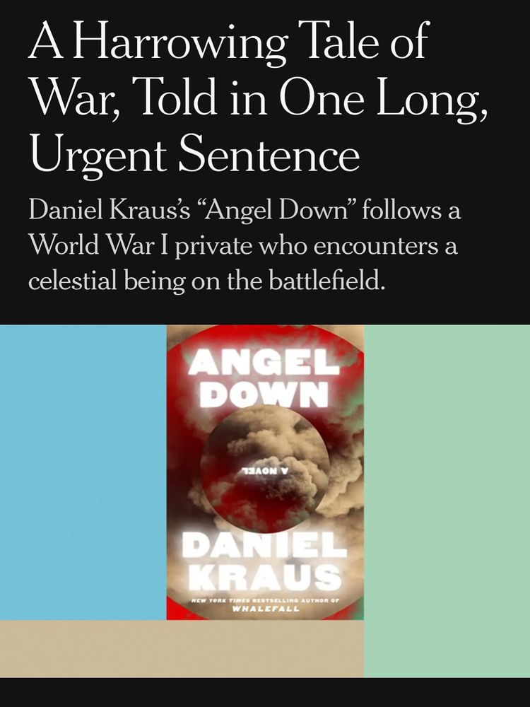 New York Times image of the angel down book cover