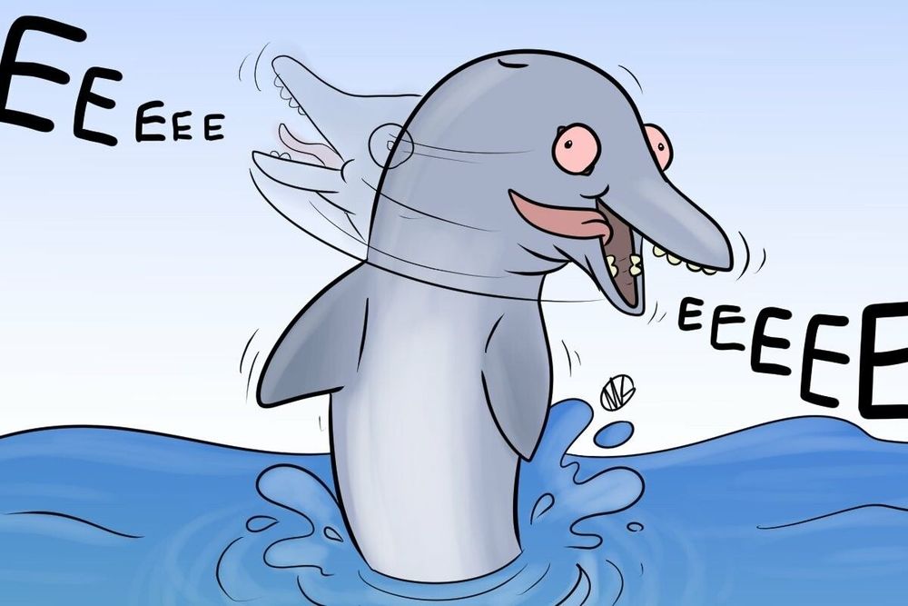 A red eyed dolphin sticking its upper half out of the ocean and violently shaking its head left to right. Its tongue is flopping out of its mouth and it shrieking “Eeeeeeee”