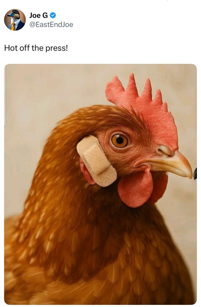 Comment image