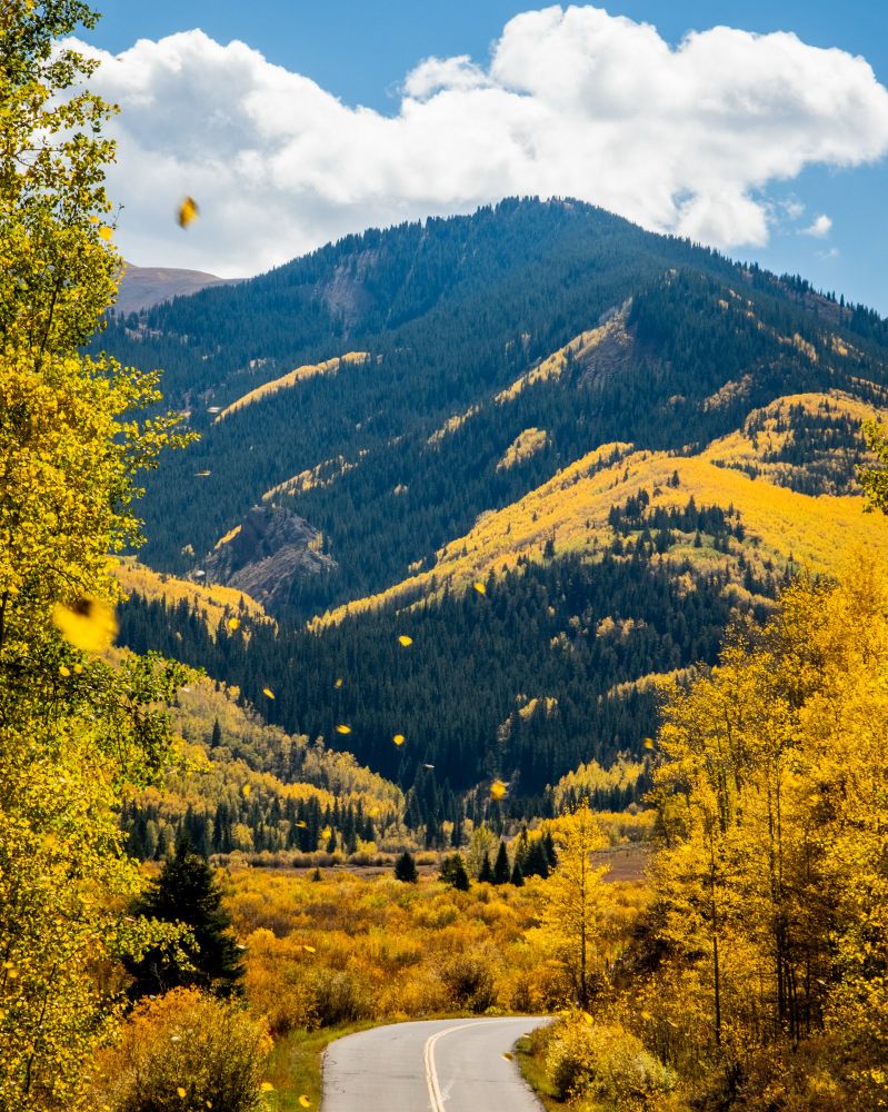 A fall scene with abundant fall foliage, a road on the bottom of the photograph and a mountain in the middle of the photograph.