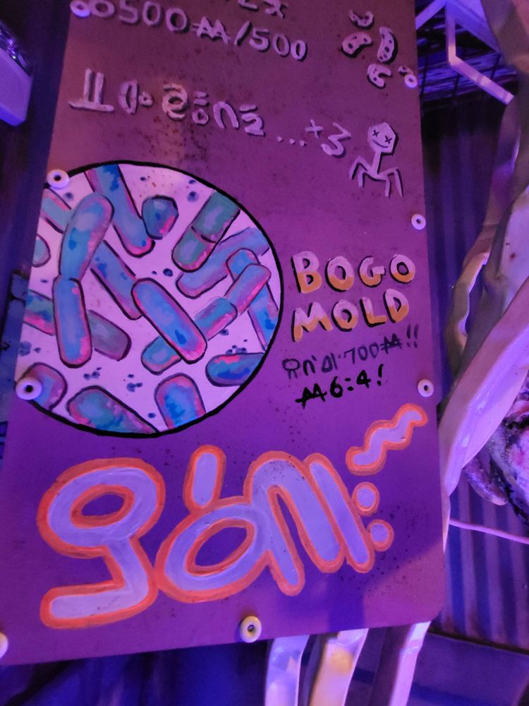 BOGO MOLD