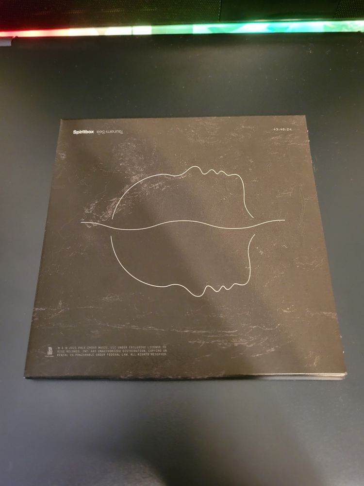 Spiritbox's Tsunami Sea