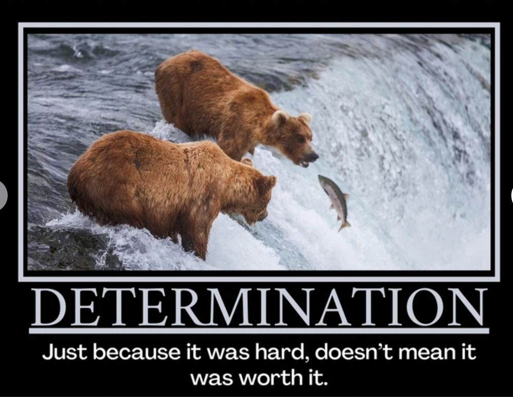 Bears catching fish in the rapids:  "Determination. Just because it was hard doesn't mean it was worth it."