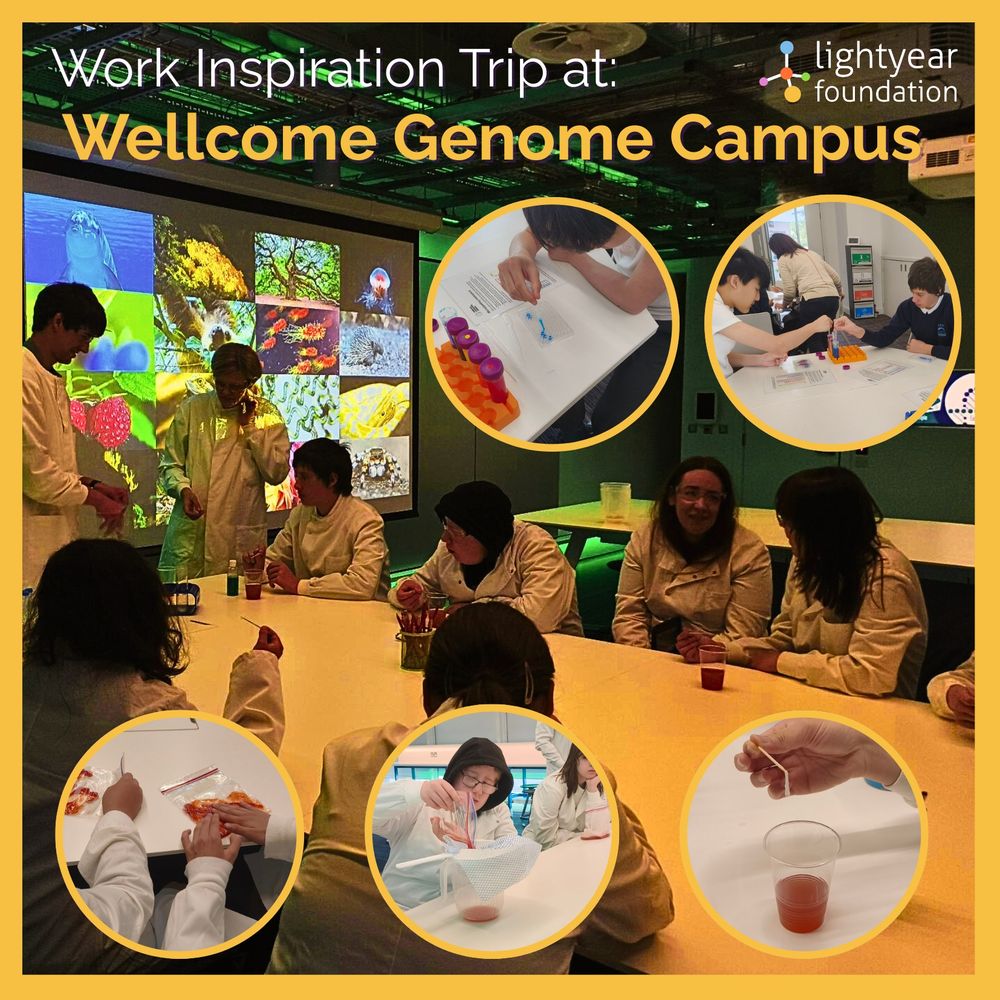A collage of photos with the words "Work Inspiration Trip at: Wellcome Genome Campus" across the top.
The background image shows students in white lab coats seated around a table in a lab, with a bright screen displaying vibrant scientific images (plants, animals, cells).

Five smaller circular photos are layered on top of the background image. Two of the images are positioned underneath the title:

The left one shows a student pipetting a blue liquid into a microplate.

The right shows two students sitting opposite each other, both placing their pipettes into different test tubes filled with red, yellow, blue, and green liquid.

There are three images at the bottom of the collage:

The left image shows two pairs of hands squishing strawberries in a zip-lock bag.

The middle image shows a student pouring their squished strawberries into a funnel lined with filter paper, which is dripping liquid into a jug.

The right image shows a hand holding a toothpick, with a large blob of strawberry DNA at the tip.

The Lightyear Foundation logo is in the top right corner, and all the images are bordered in yellow.


