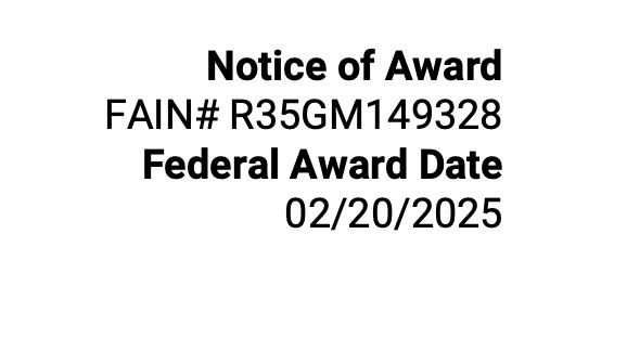 Notice of Award
FAIN# R35GM149328
Federal Award Date
02/20/2025