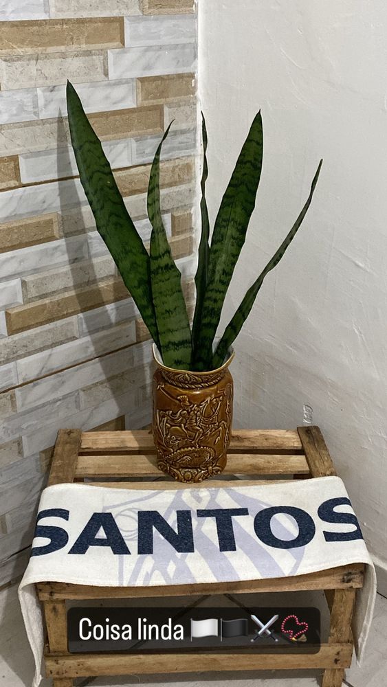 ⭐️🏳️🏴⭐️ SANTOS FC ⭐️🏳️🏴⭐️