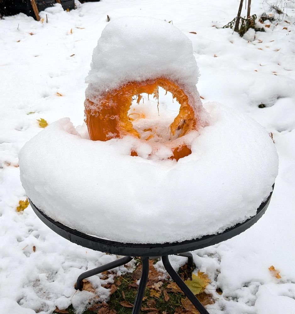 A photo of a carved pumpkin on a snow covered table. The carved jack o'lantern face has been eaten away, leaving a tunnel through the pumpkin