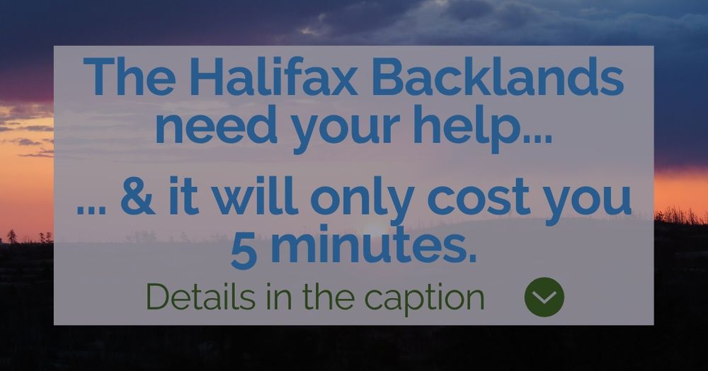 A photo of a dramatic sunset over the Halifax Backlands. The text overlay says "The Halifax Backlands need your help ... and it will only cost you 5 minutes. Details in the caption." Complete details are here on our website: https://backlandscoalition.ca/?p=8119