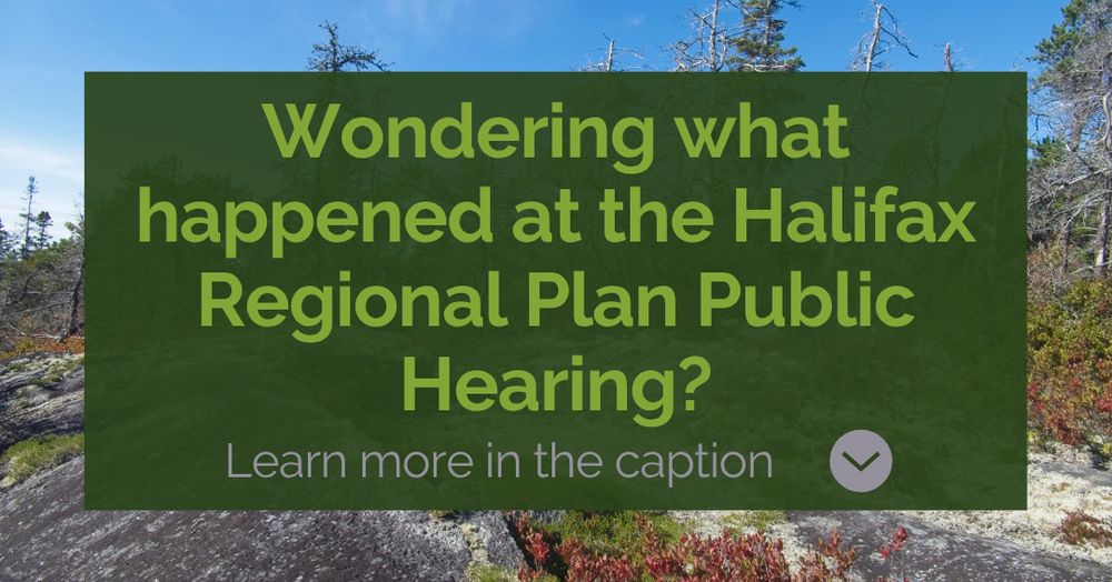 A photo of a rocky area in the Halifax Backlands. The text overlay on a dark green rectangle says: "Wondering what happened at the Halifax Regional Plan public hearing?"