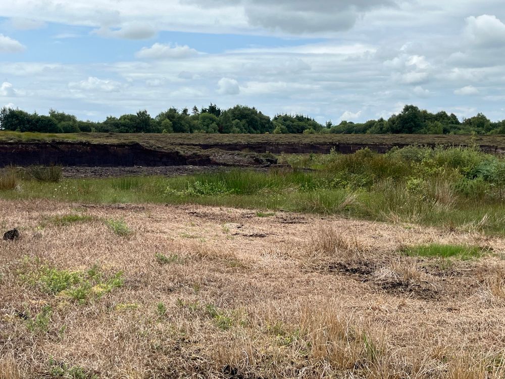 A photo of the working peat face.