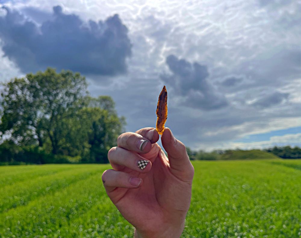 A photo of a hand holding an elegant honey-coloured flint point.