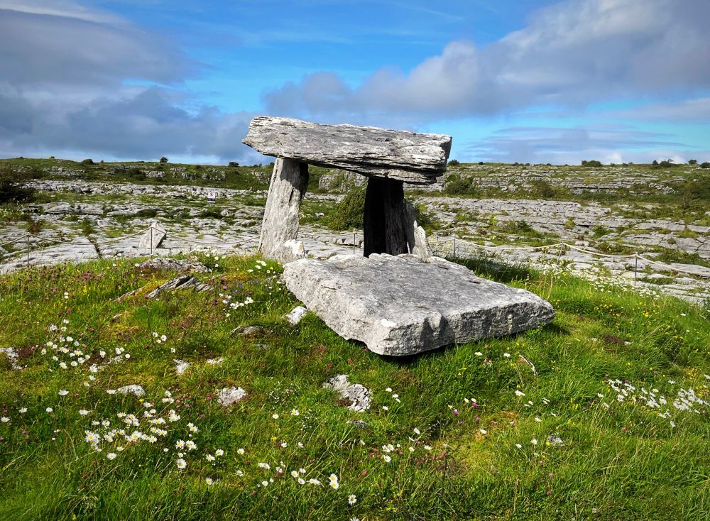 Another photo of the dolmen - grey stone slabs on grass and wildflowers.