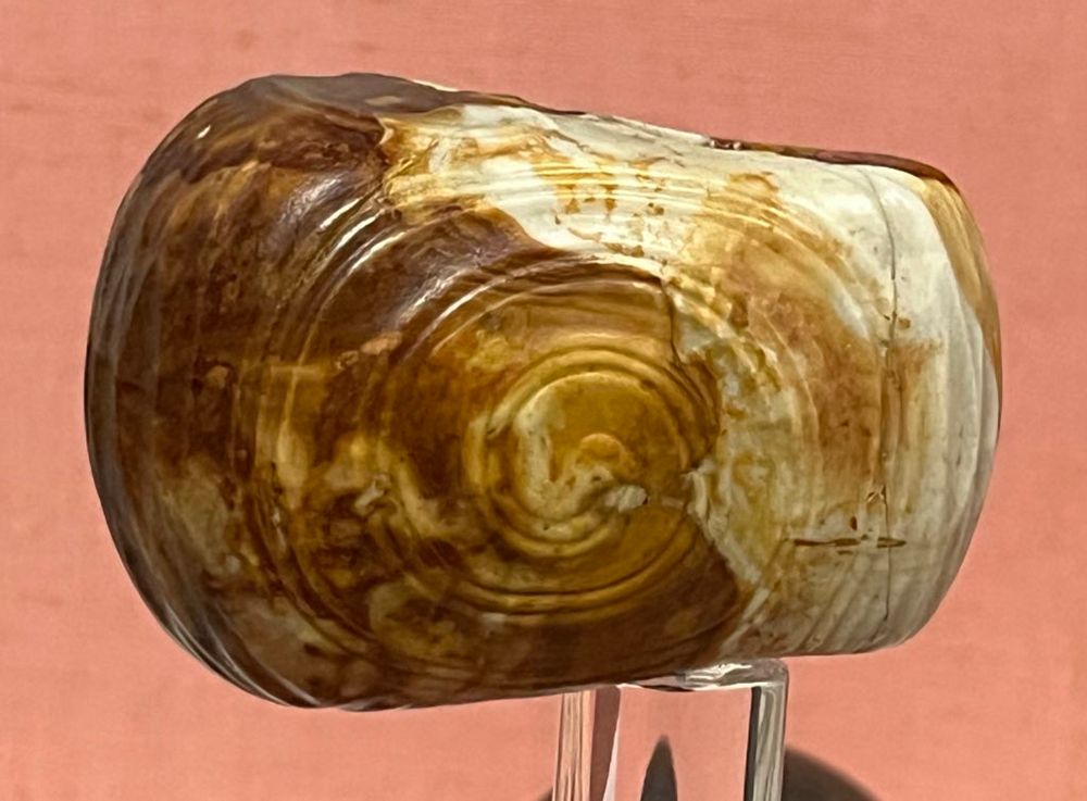 A photo of the Knowth macehead on mottled brown and white stone and showing a spiral pattern.