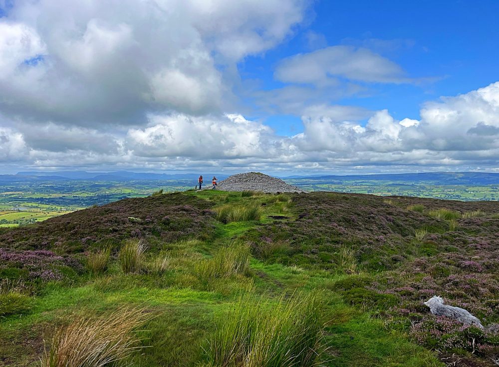 A photo of one of the Carrowkeel passage tombs in the distance and surrounded by green grass and purple heather. Two people walk around the mound and a dog lies in the heather in the foreground.