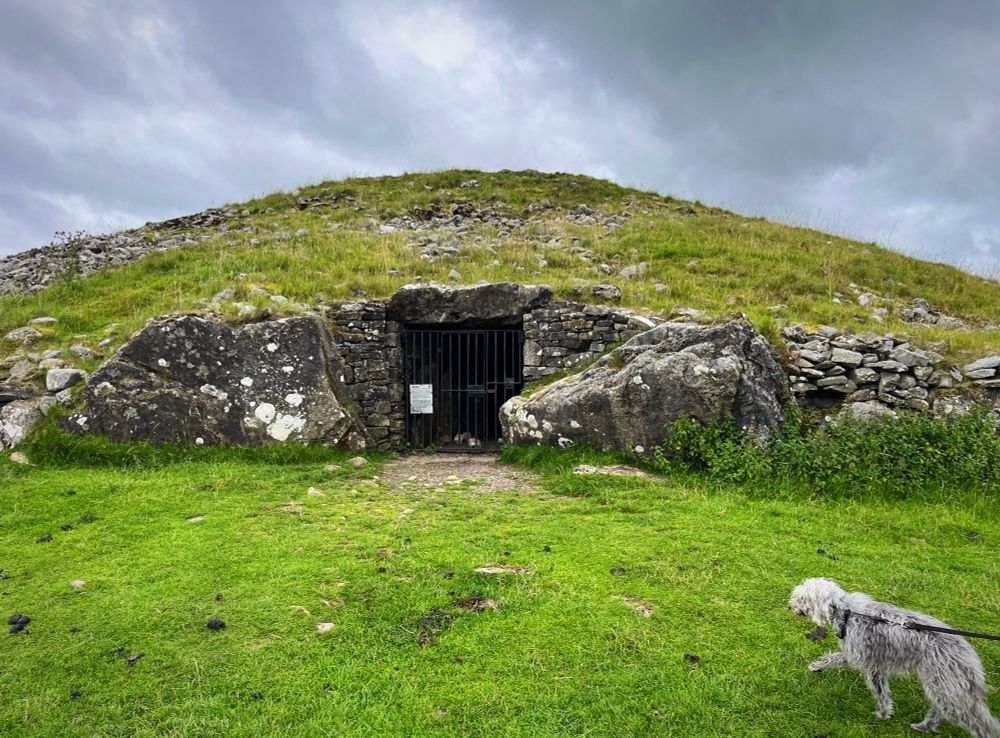 A photo of the main mound at Loughcrew, showing the entrance to the passage tomb (with a closed gate across it). A dog walking in front for scale.