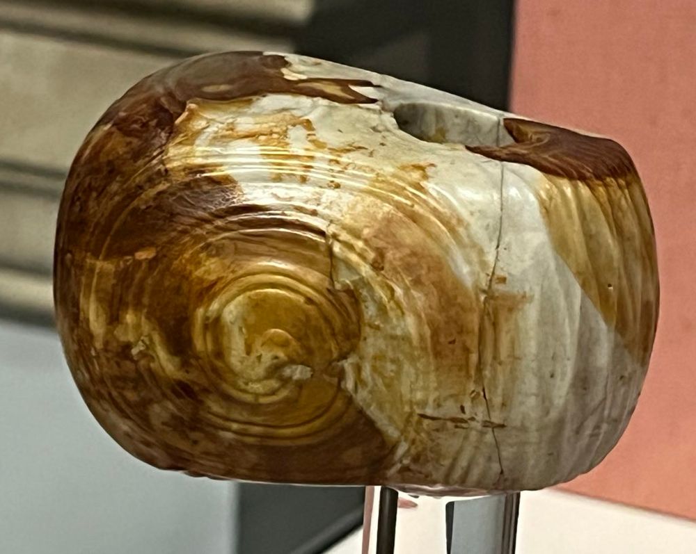 A photo of the Knowth macehead on mottled brown and white stone and showing a spiral pattern.