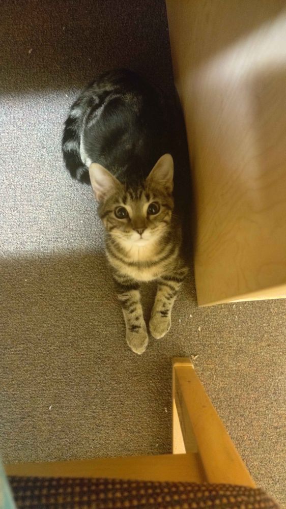 The boy in question: