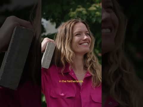 Flipping tiles to make their neighborhoods greener | IMAGINE5