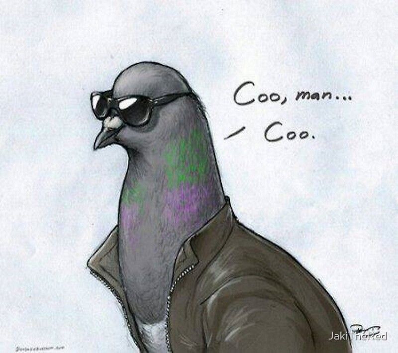 Comment image