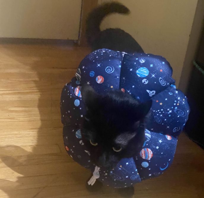 A picture of a black cat taken from head on, wearing a cone around its neck with stylized artwork printed on it, depicting outer space, featuring stars, planets, and spaceships.