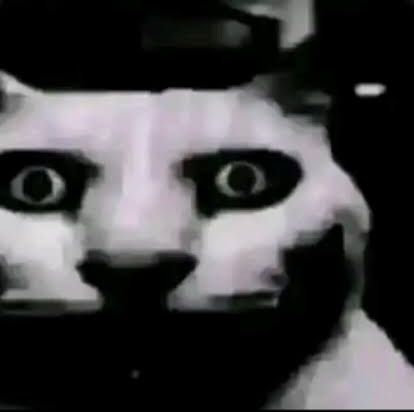 meme d'un chat unsettling avec les yeux écarquillés en noir et blanc