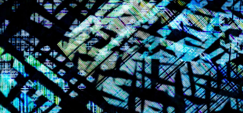 close up of the first image
