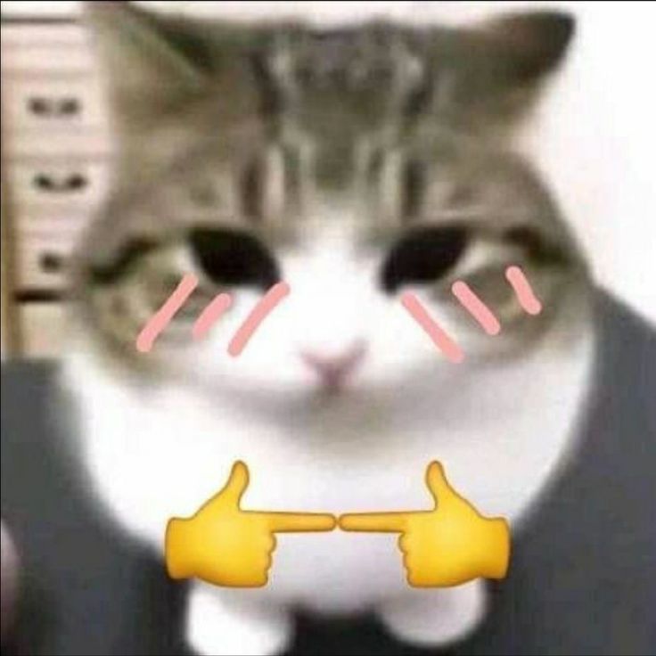 Comment image