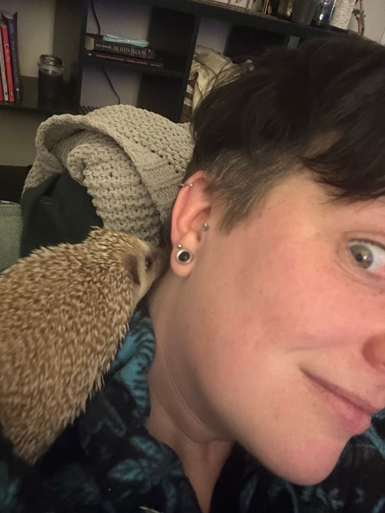 A hedgehog eating the hair of a whale-eyeing white adult.