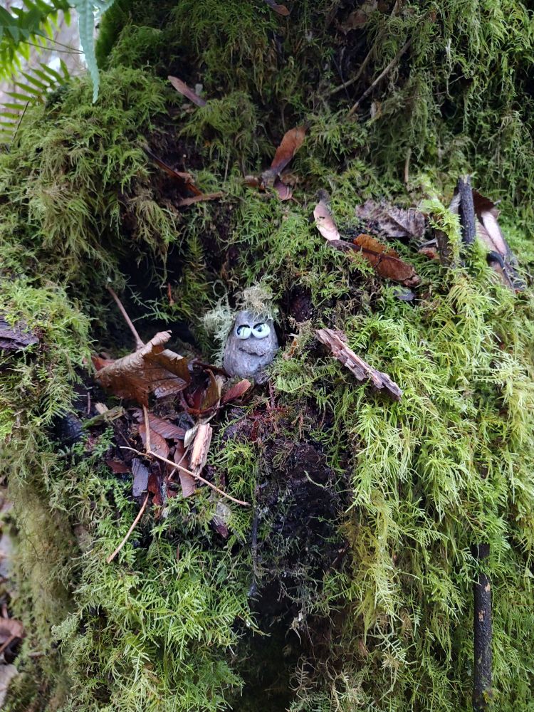 Smirking Rock in a moss covered tree stump 