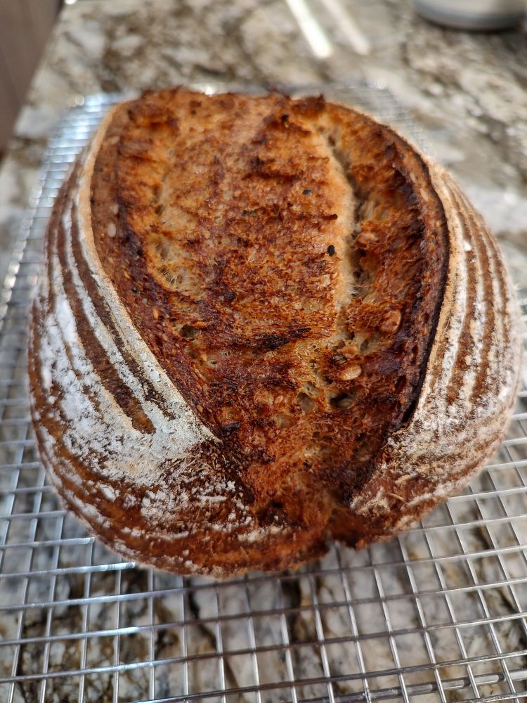 Sprouted barley beer sourdough 