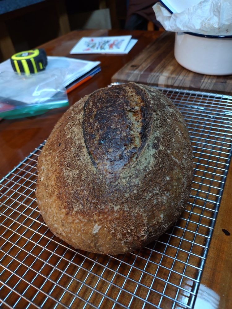 Sourdough bread 