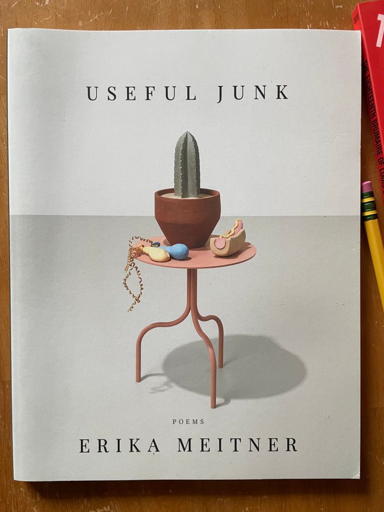 On a desk, with a #2 pencil, a paperback book: Useful Junk, poems, Erika Meitner, with the cover art “Masculine Still Life” by Genesis Belanger. 