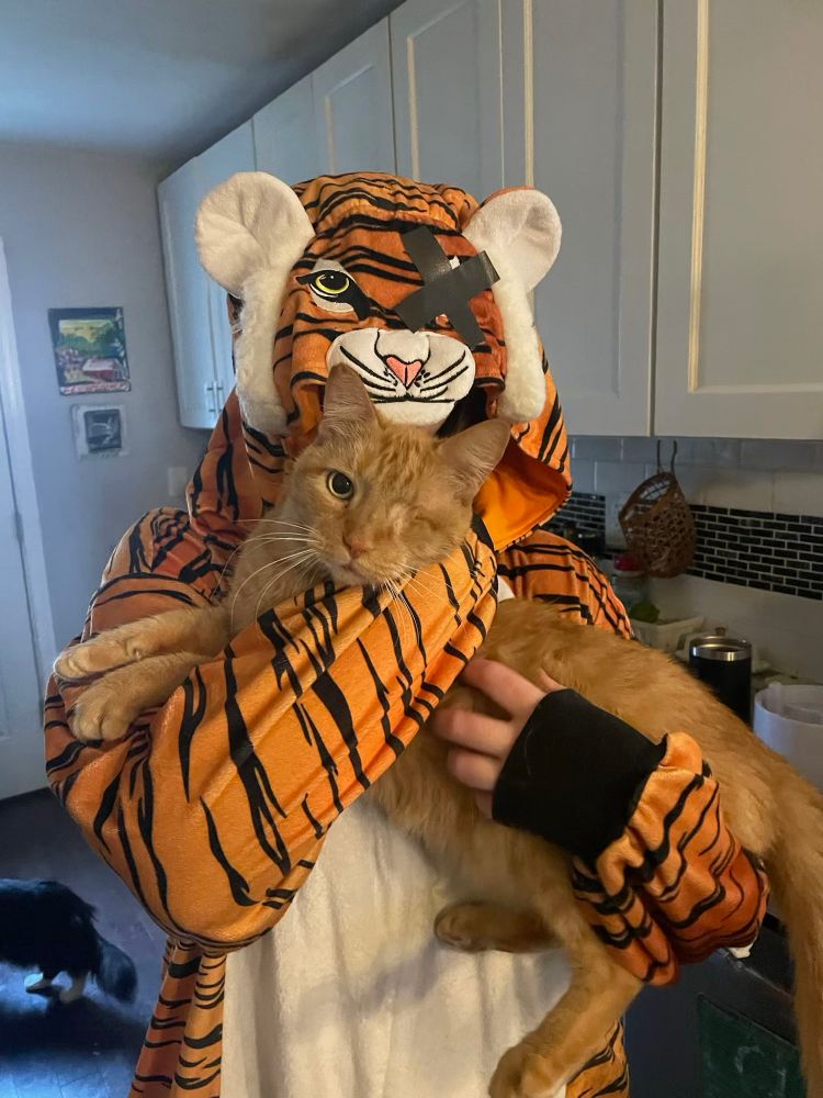 Me in a tiger onesie costume with one of the eyes X-ed out, holding my partner’s orange cat, who has only one eye. We are twins. 