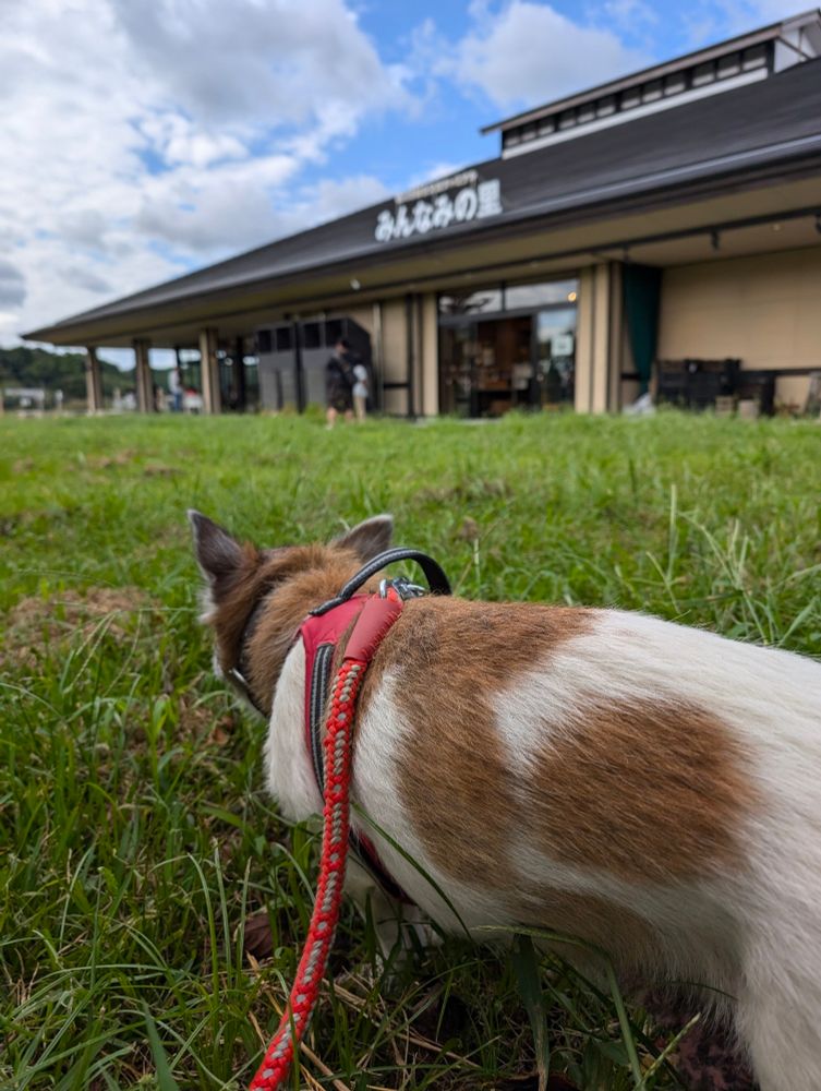 みんなみの里といっぬ