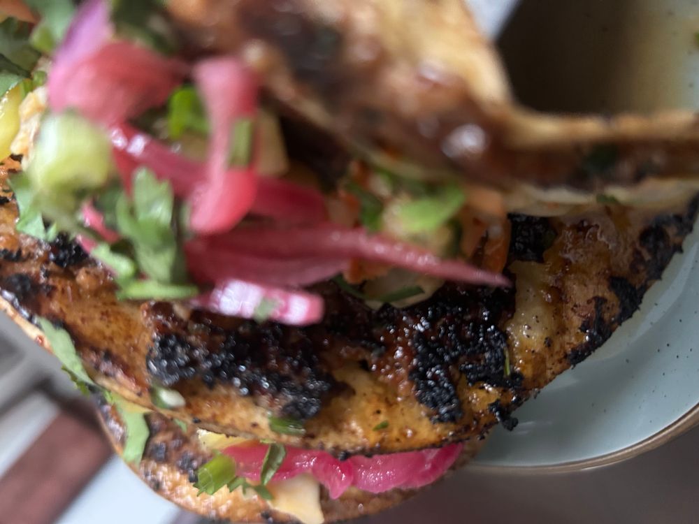 A close-up on a picture of charred meat on a taco