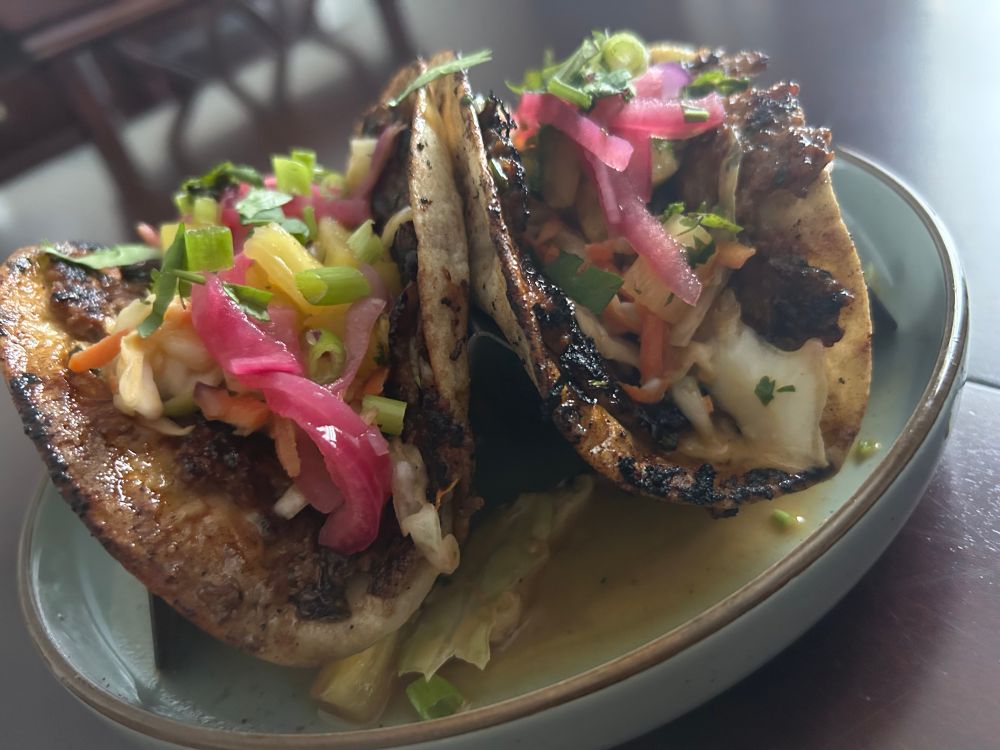 A close upside view on two tacos that are grilled and have slaw and pickled onions on