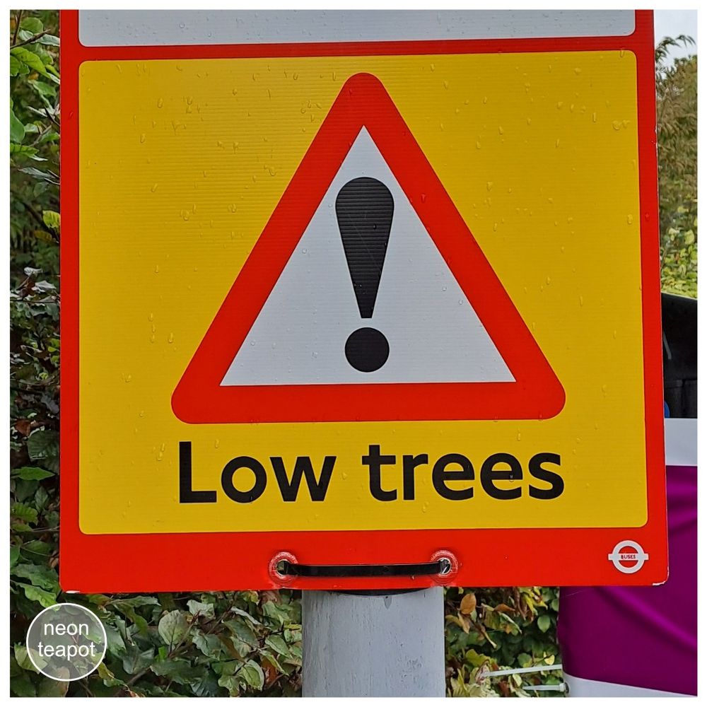 A UK sign to warn buses of low trees. This rectangular sign is tied onto a lampost. The sign itself has a yellow background and red border. In the centre is a black exclamation mark on a white triangle with a red border. Underneath are the words, low trees. Behind the sign are green leaves from bushes.