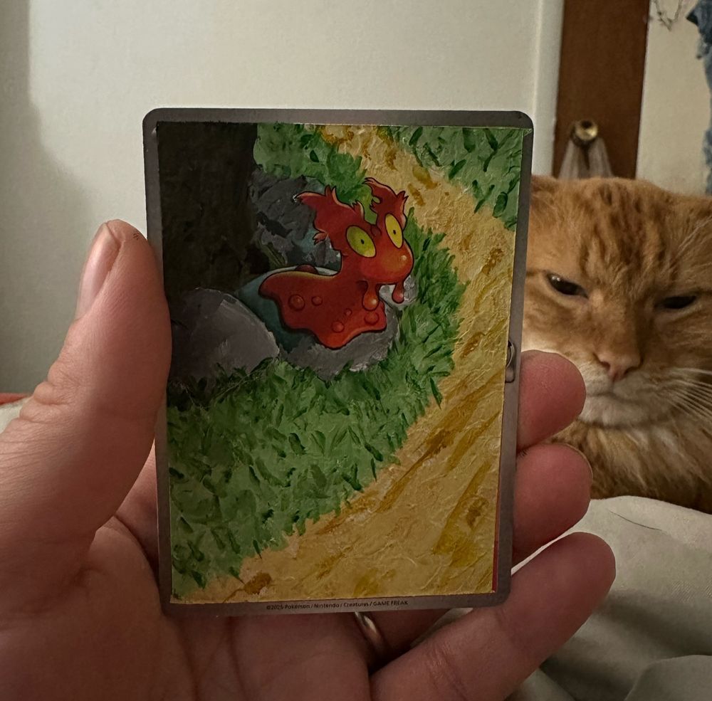 Ethan’s Slugma, minus Ethan. Cat unimpressed. 