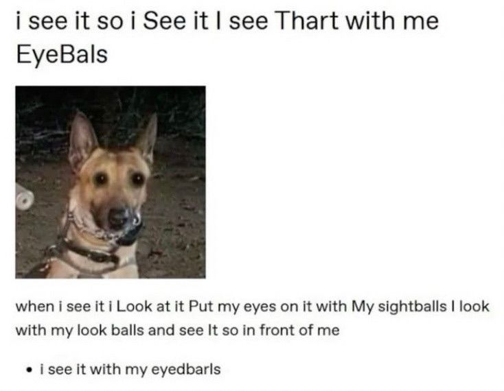 weird looking dog who sees Thart with he EyeBals