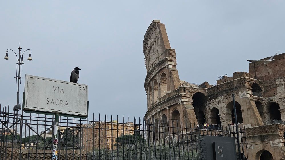 Foro de Roma, 31 enero 2025