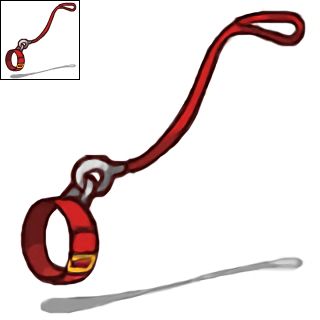The Neopets item "Invisible Petpet Leash".