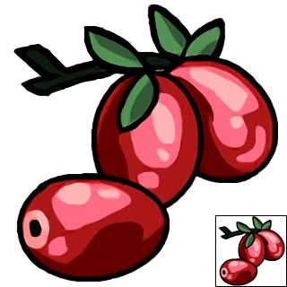 The Neopets item "Cranberries".