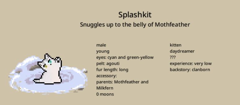 Splashkit, a cream-and-grey tabby tom with heterochromia, he has 1 cyan eye and 1 green-yellow eye
Trait: daydreamer