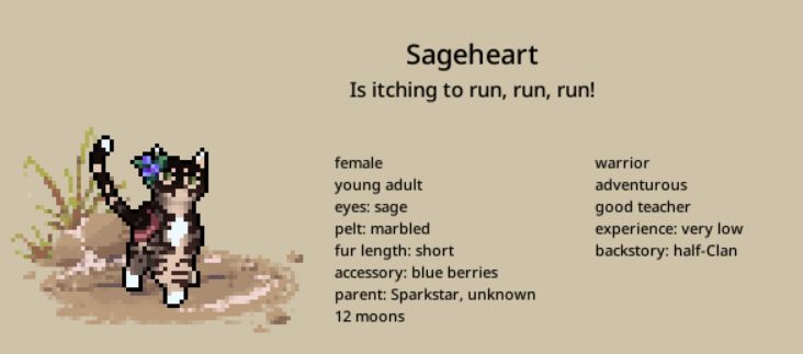 Sageheart, a cream-and-brown tabby molly with sage green eyes
Is itching to run, run, run!
12 moons old
Traits: adventurous, good teacher