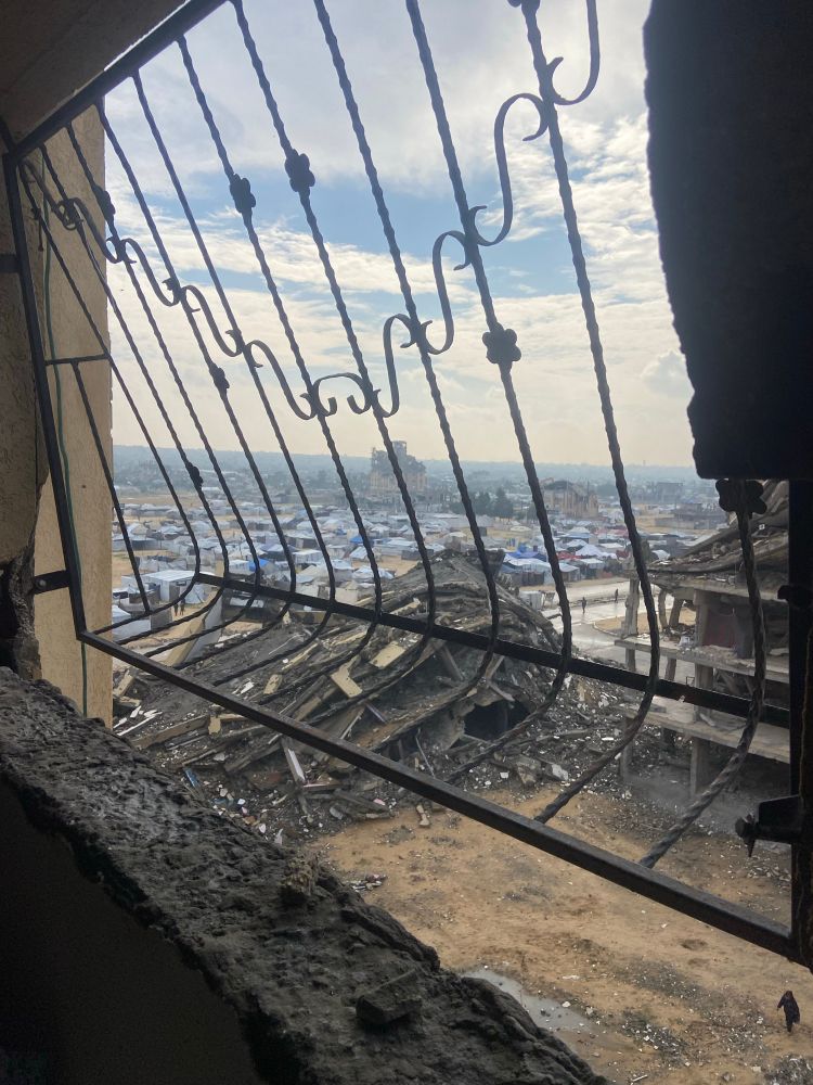 The view from my window 