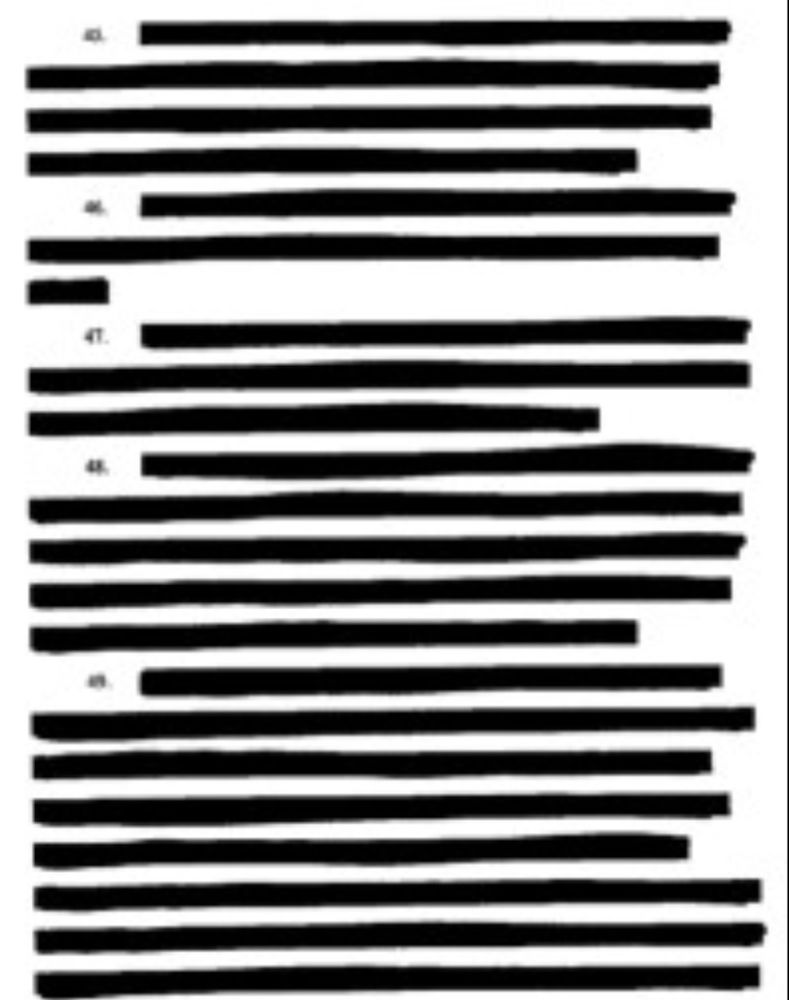 screenshot of a heavily redacted file, basically a lot of black lines blanking all the information out.